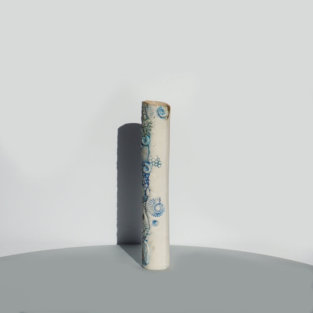 Ammonite Slim Pencil Vessel #5