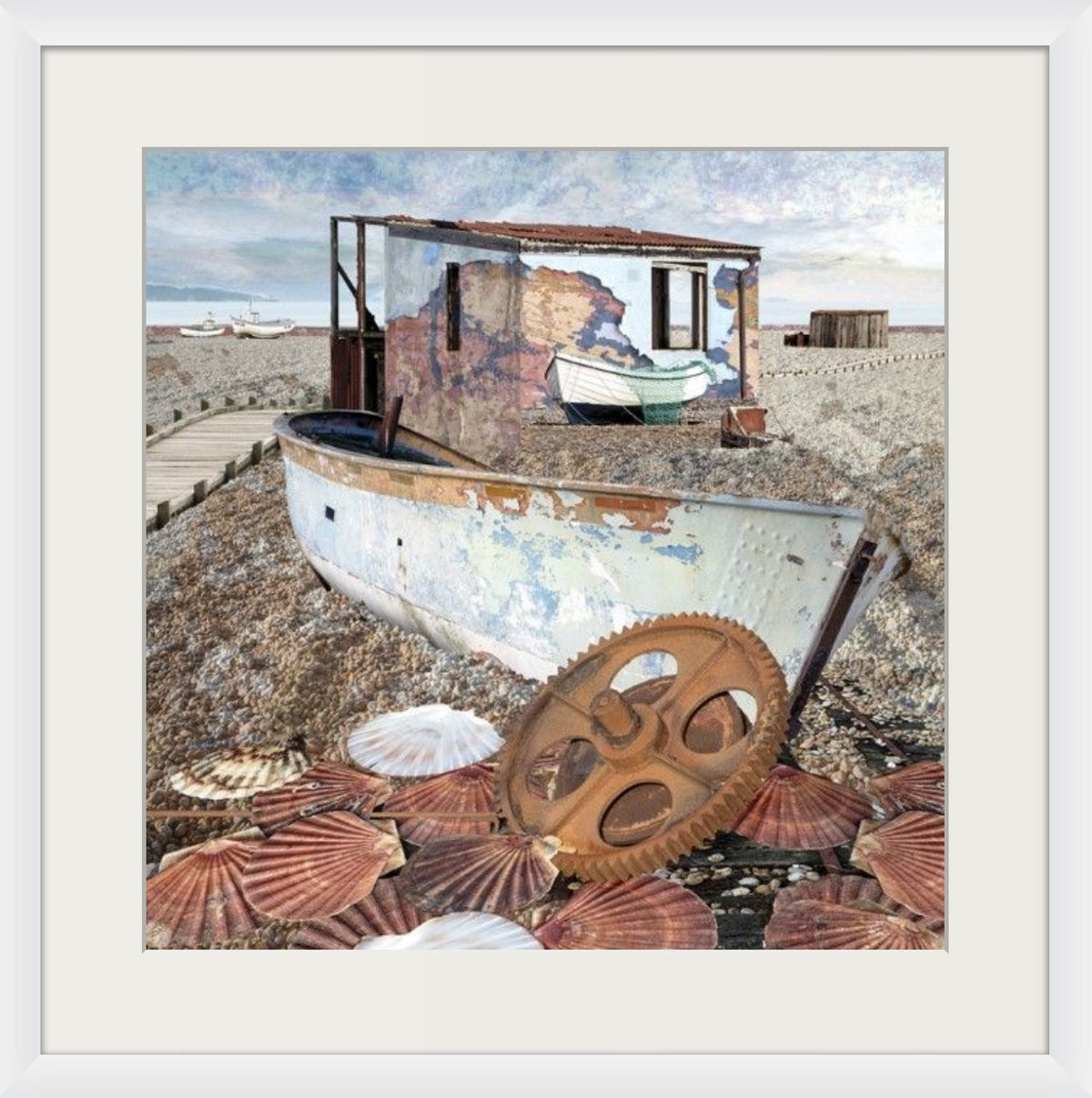 Shells - Seascape 63