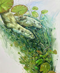 Diving the Shallows