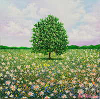 Meadow Haze