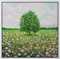 Meadow Haze