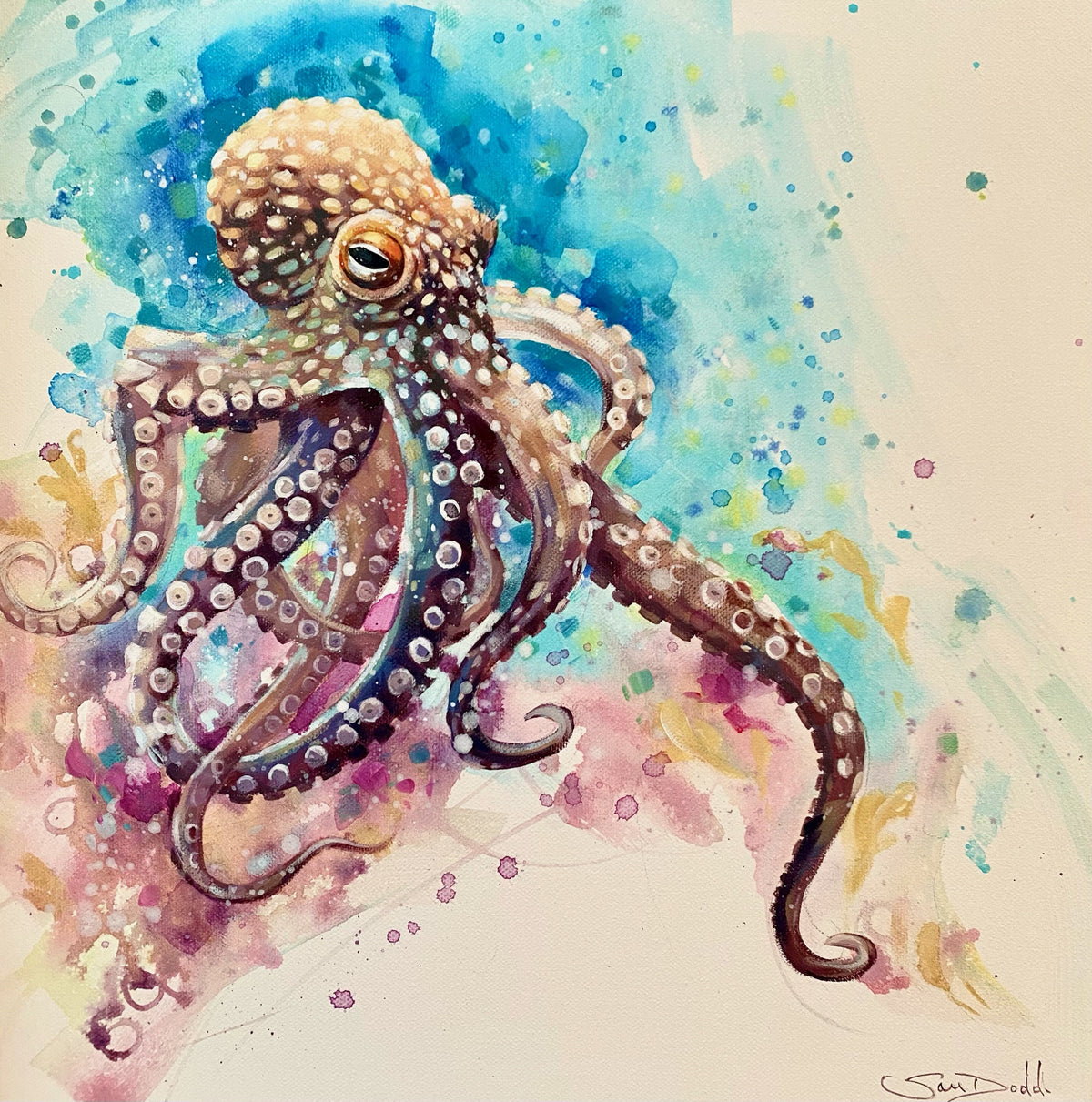 Octopus 1