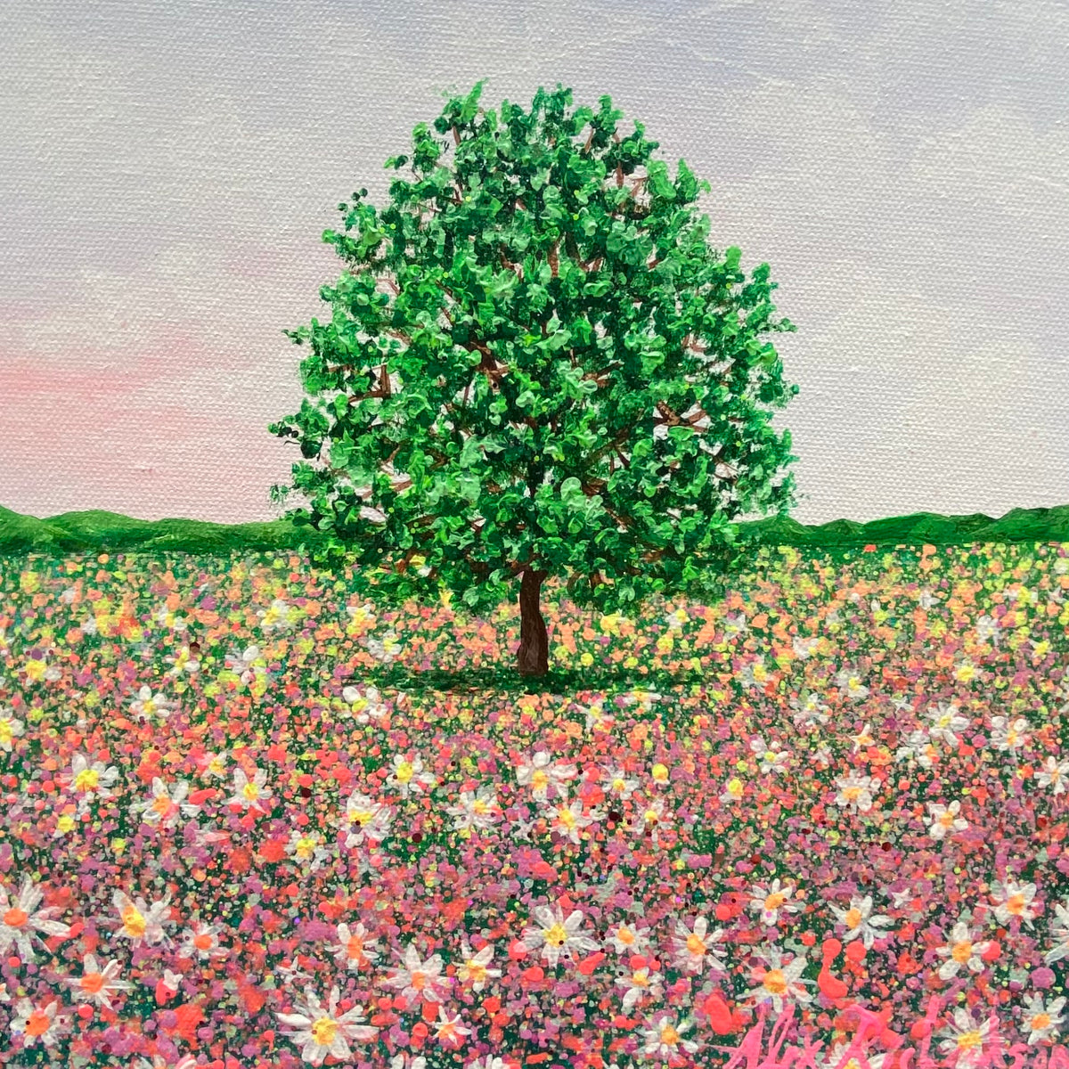 Pink Haze