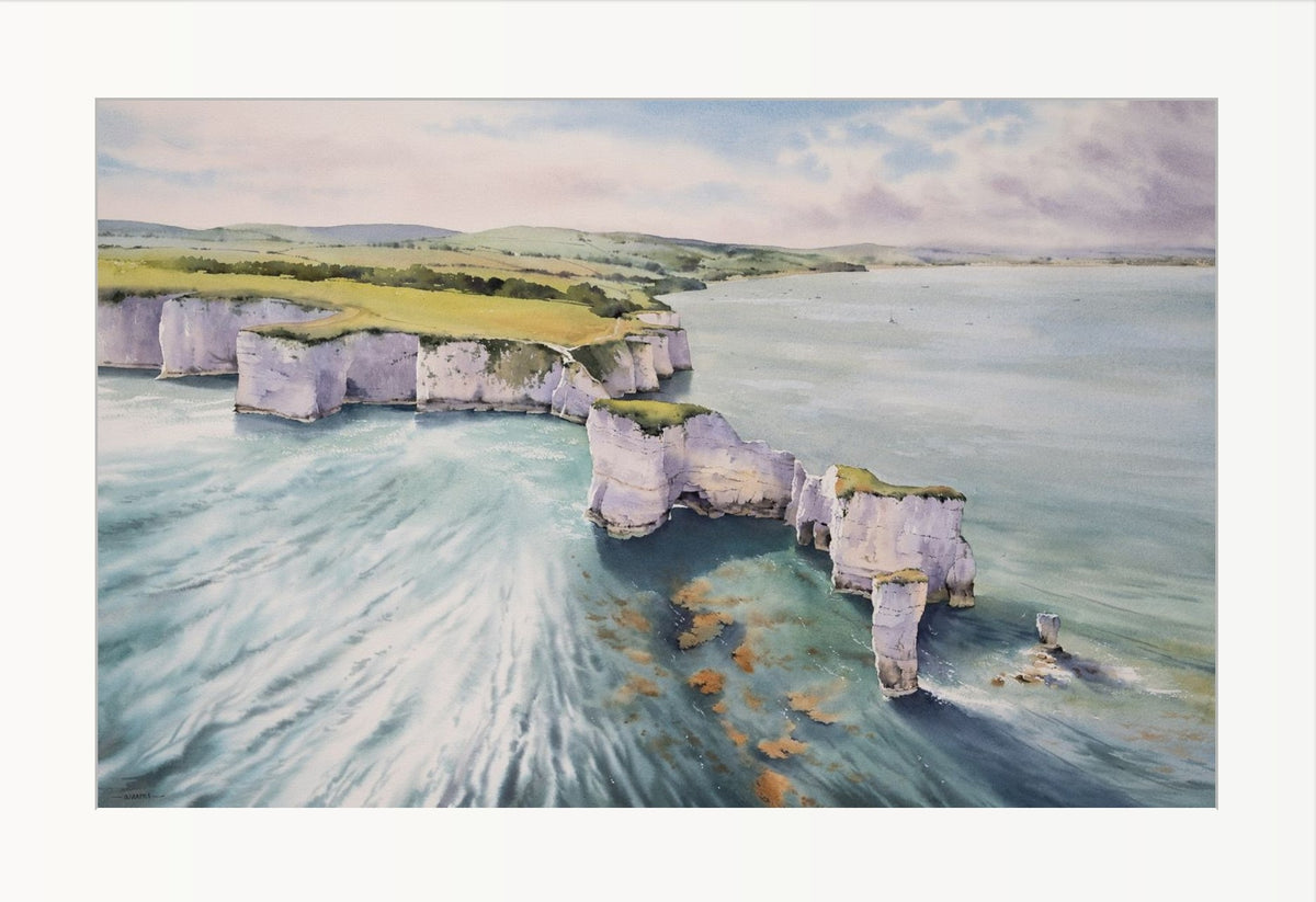 Seagull's View, Old Harry Rocks (Limited Edition Print)