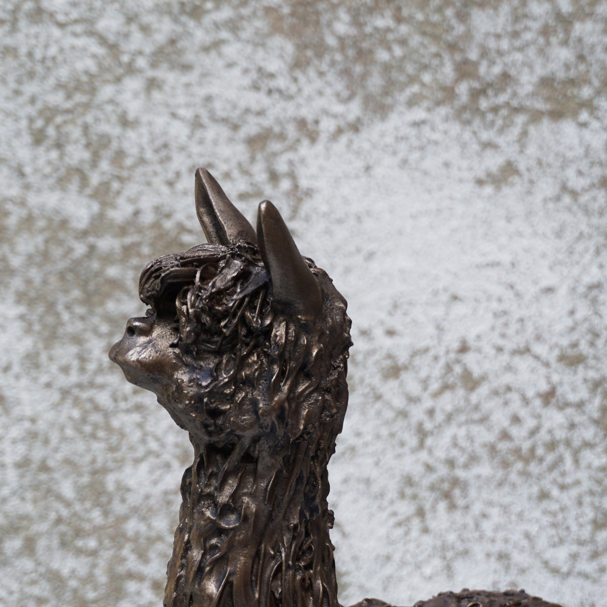 Alpaca