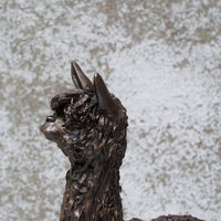 Alpaca