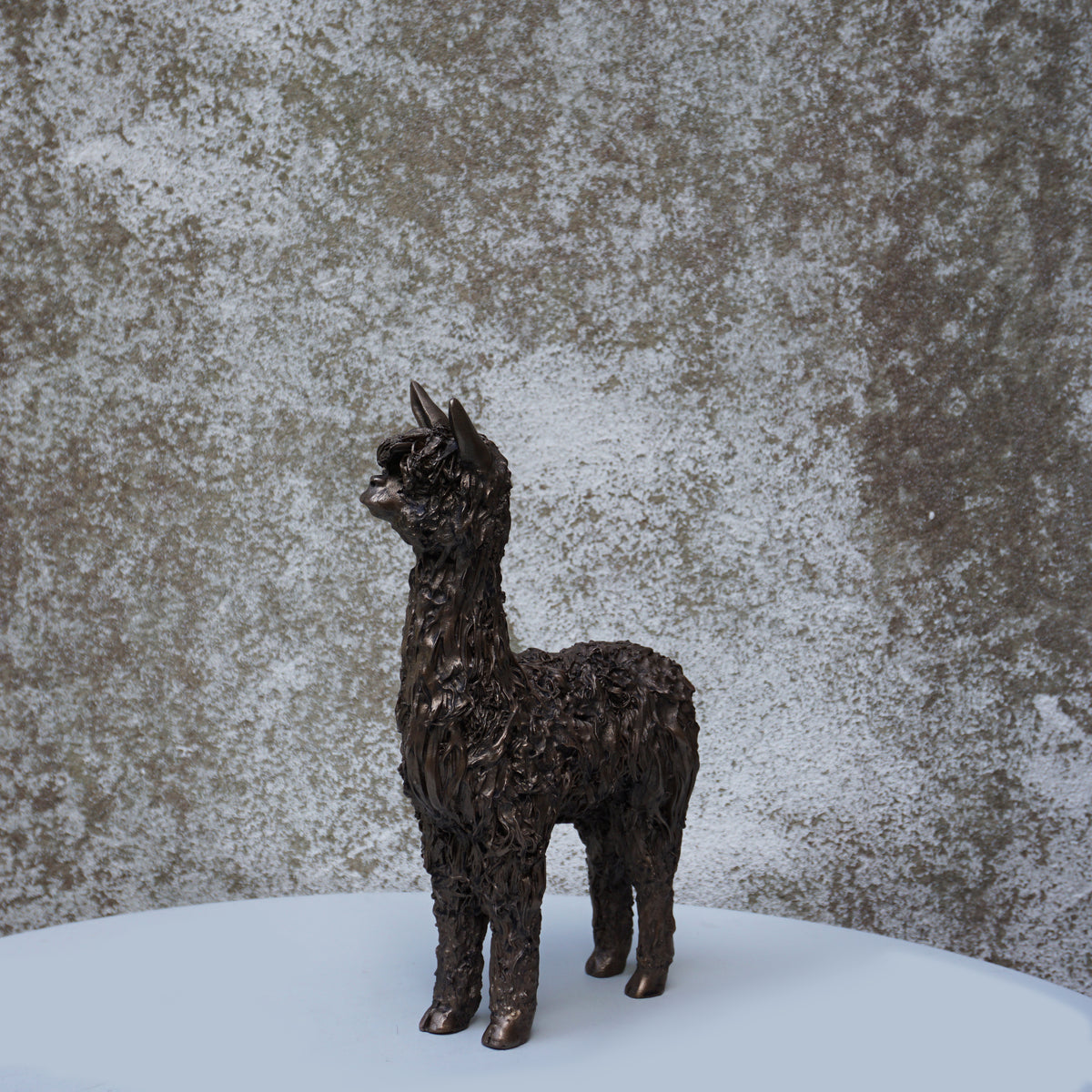 Alpaca
