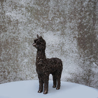 Alpaca