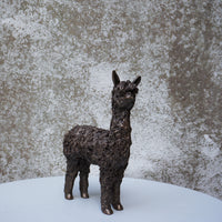 Alpaca