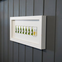 Beer Bottles