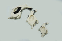 Flying Cows (Set of 3)