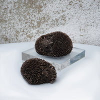 Dizzy - Hoglet Lying