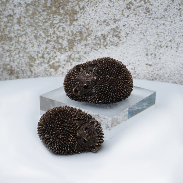 Zippo - Baby Hedgehog Asleep