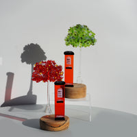 Christmas Post Box & Tree