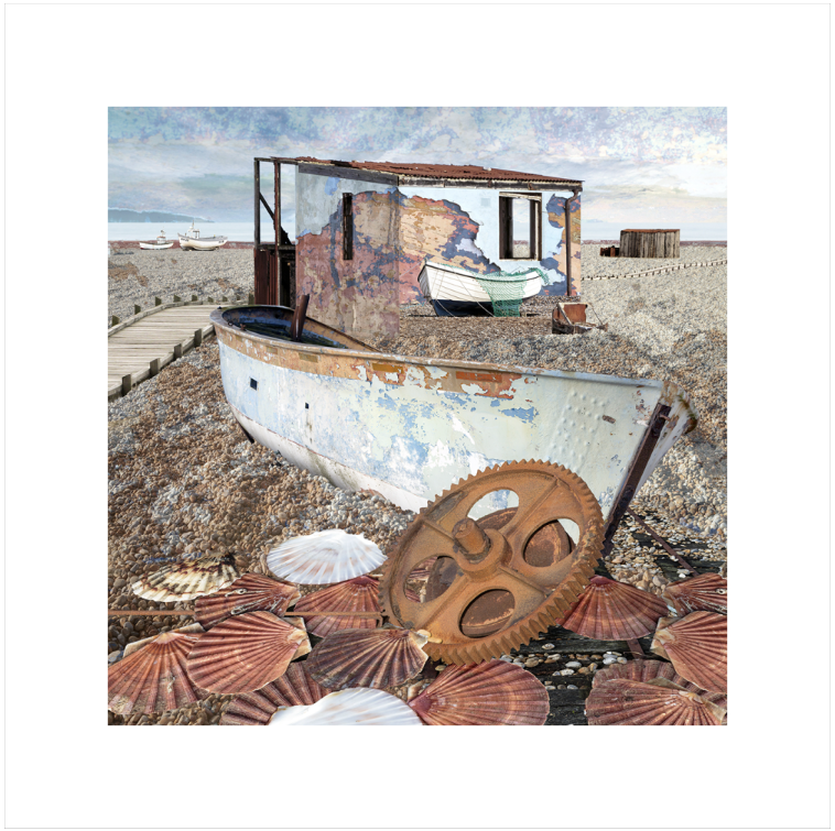 Shells - Seascape 63