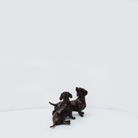 Dachshund Pair