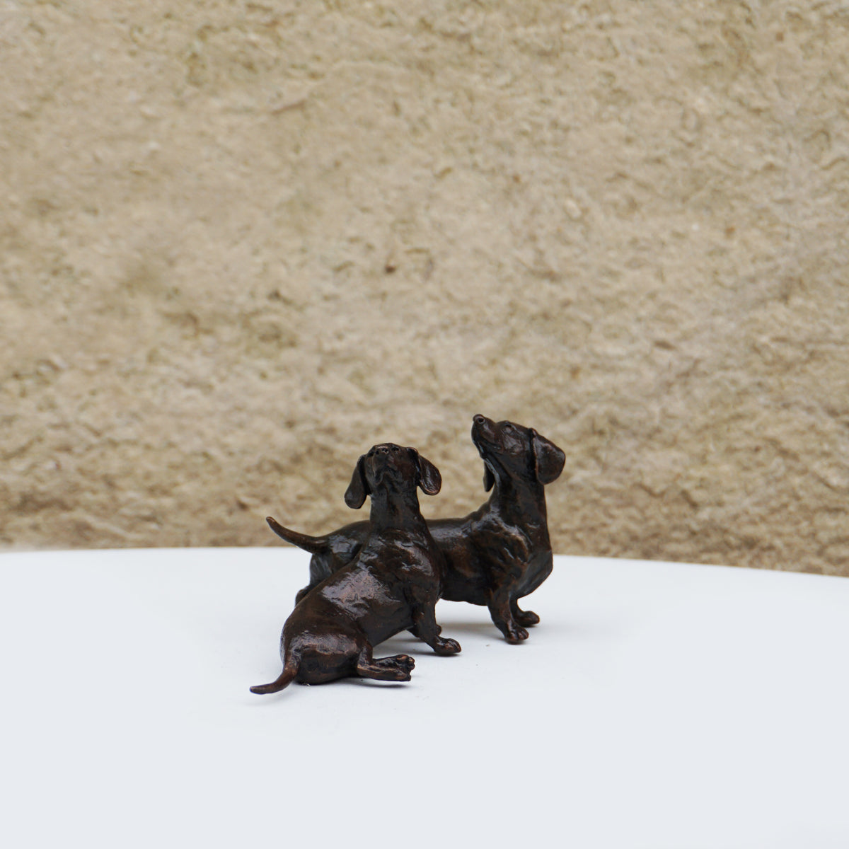 Dachshund Pair
