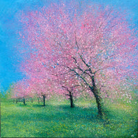 Elmton Pinks