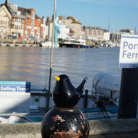 Glass Bird - Blackbird