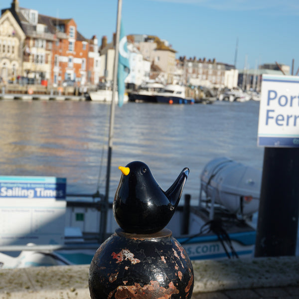 Glass Bird - Blackbird