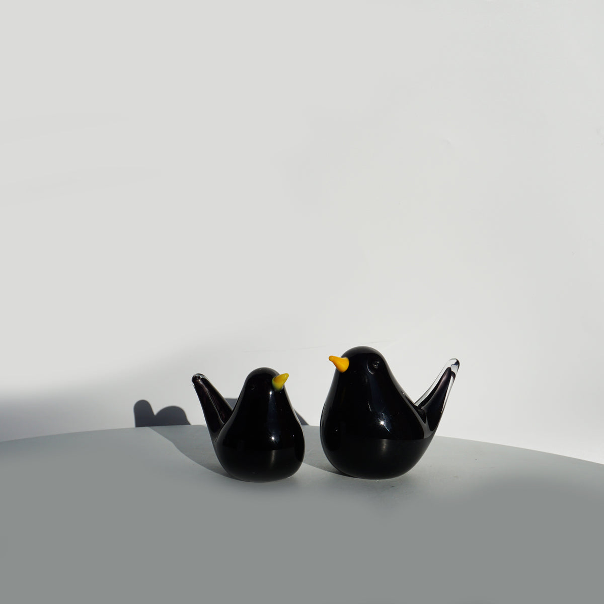 Glass Bird - Blackbird