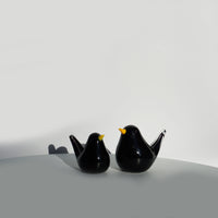 Glass Bird - Blackbird