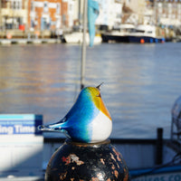 Glass Bird - Blue Tit