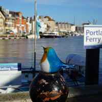 Glass Bird - Blue Tit
