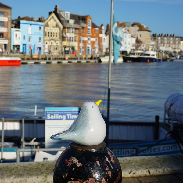 Glass Bird - Seagull
