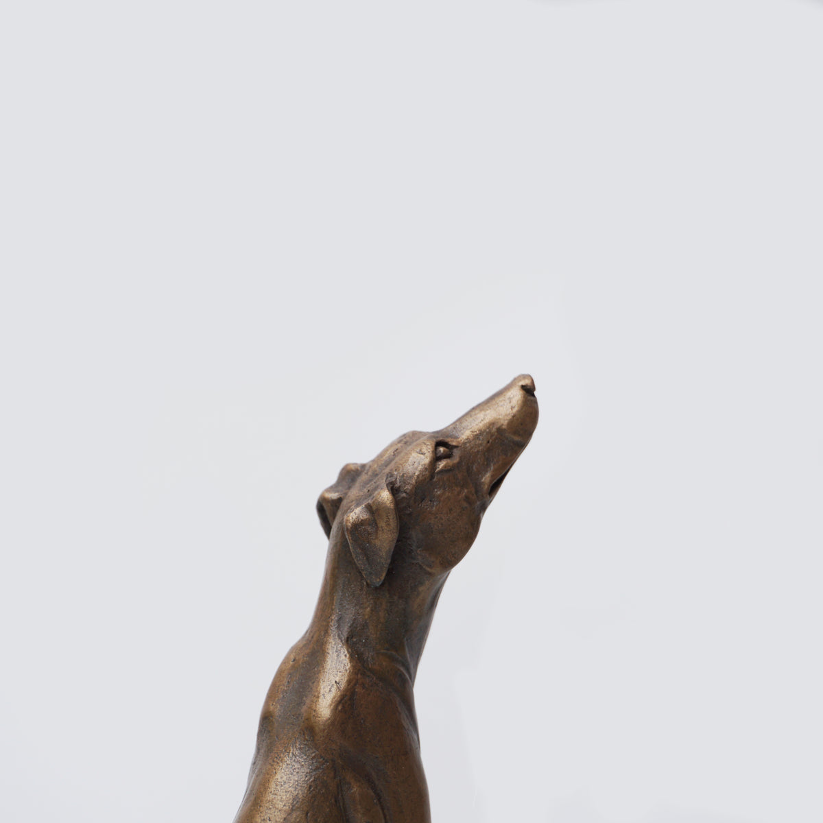 Lurcher Sitting