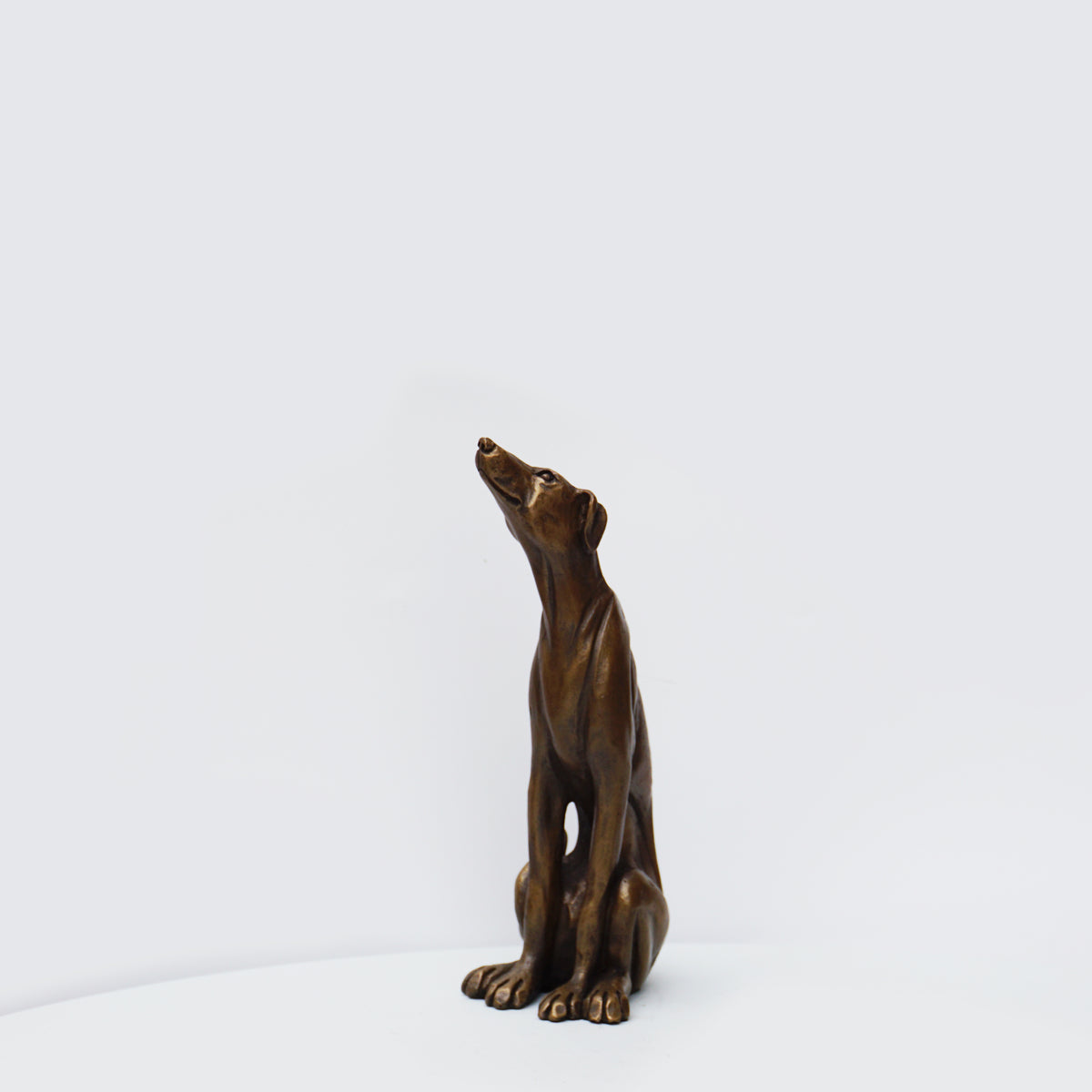Lurcher Sitting