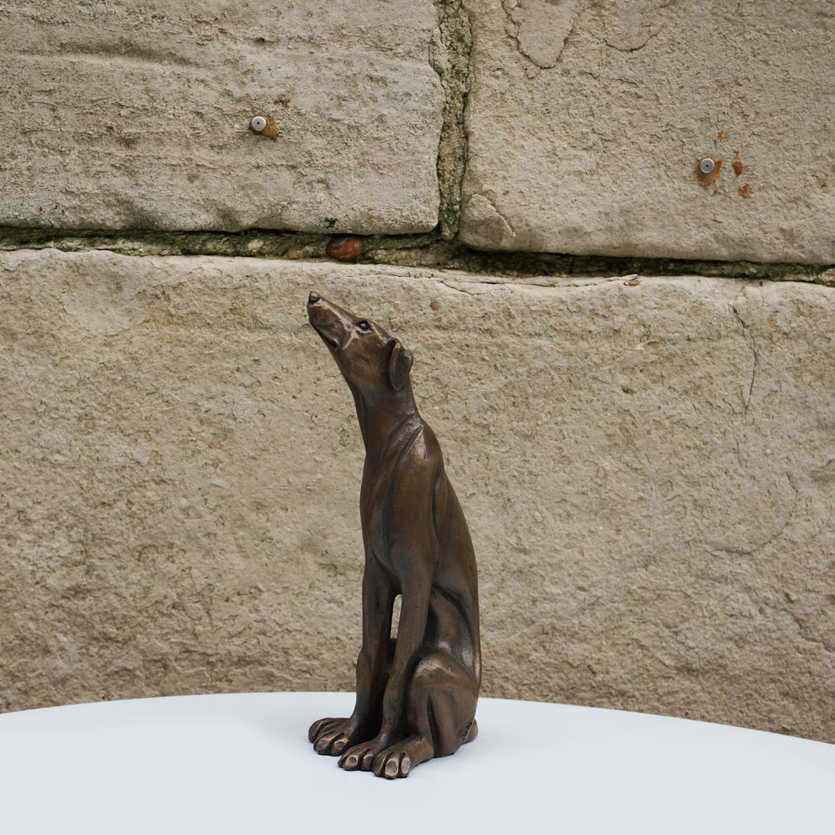 Lurcher Sitting