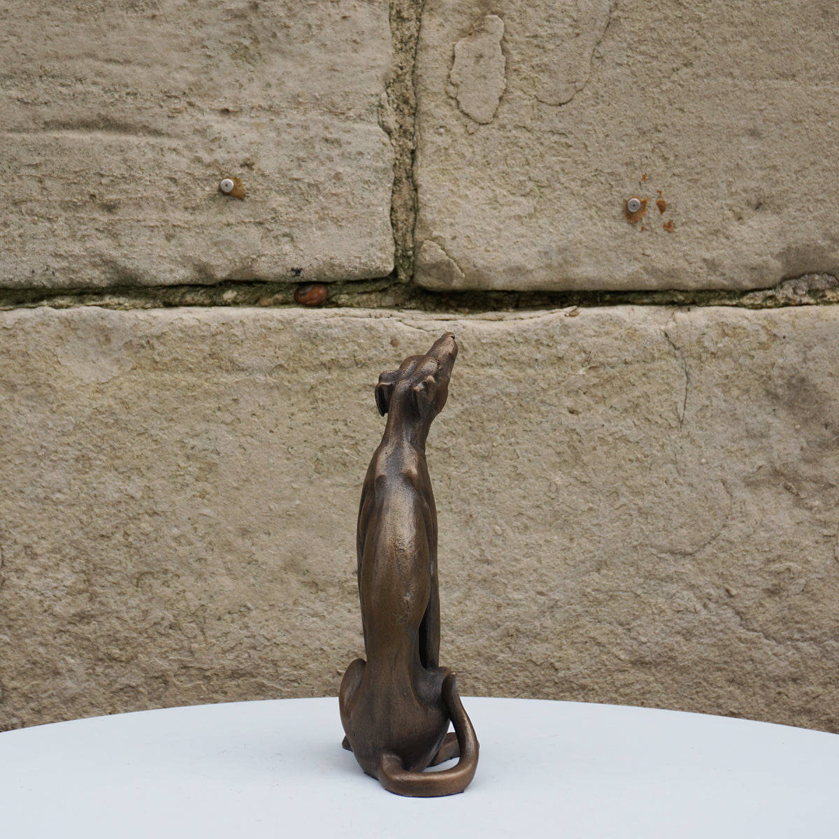 Lurcher Sitting