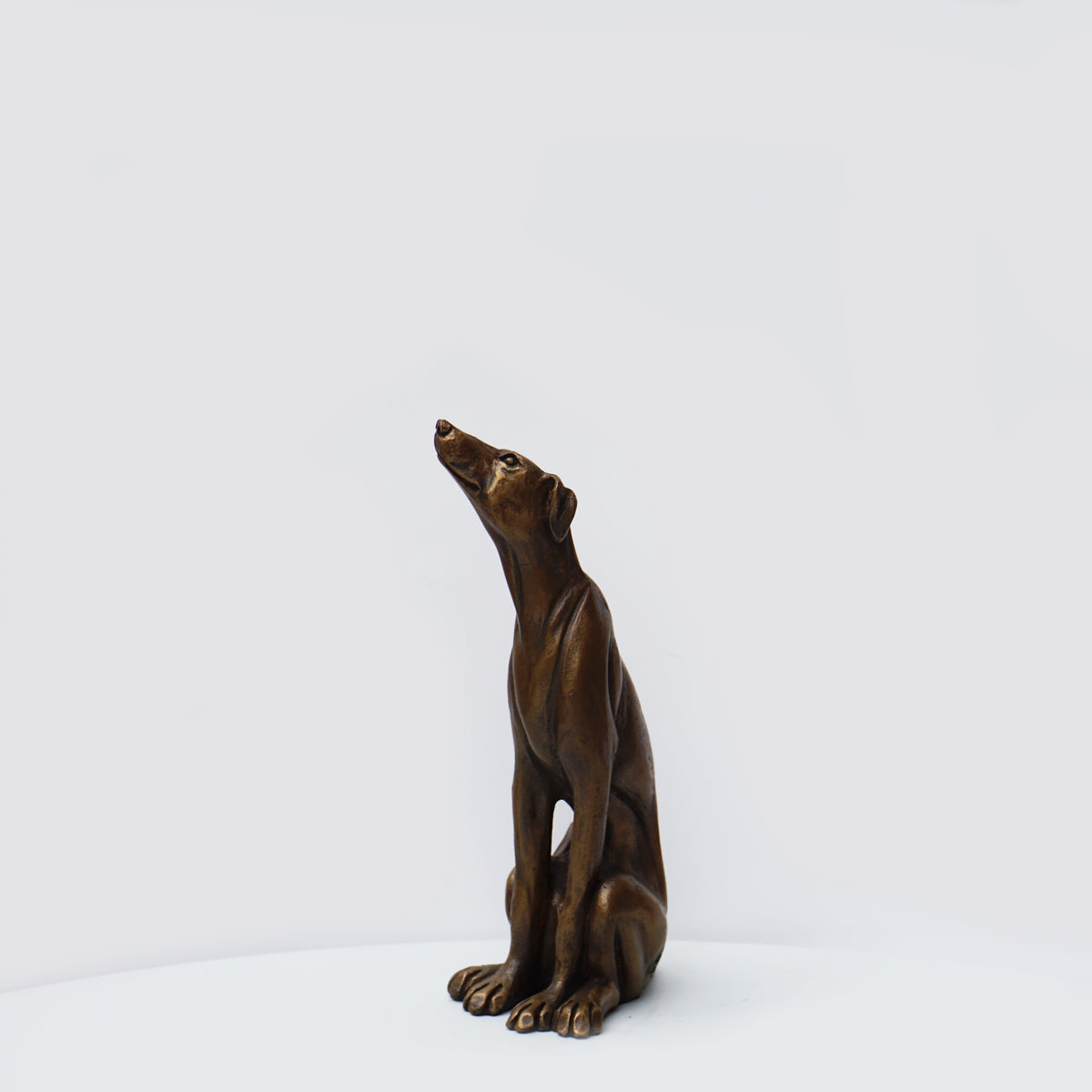 Lurcher Sitting