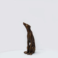 Lurcher Sitting