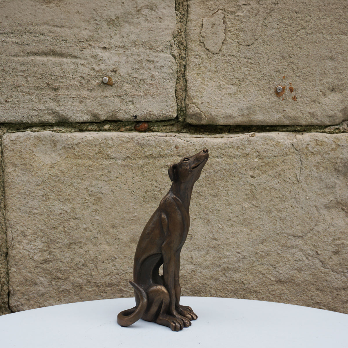 Lurcher Sitting