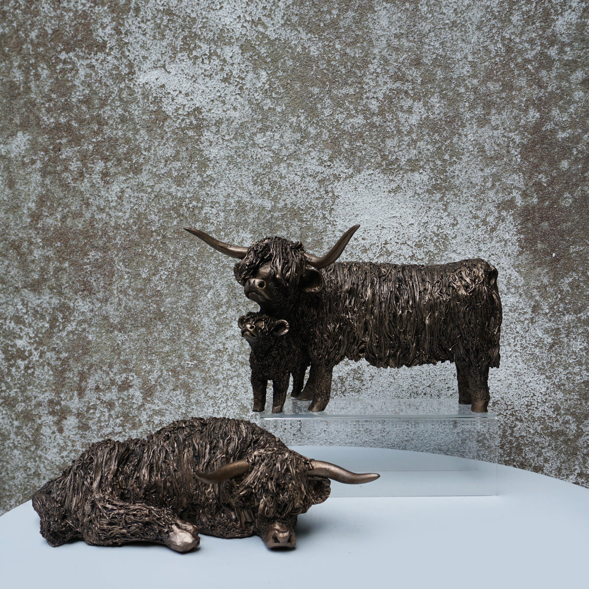 Highland Cow & Calf Standing