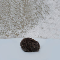 Dizzy - Hoglet Lying