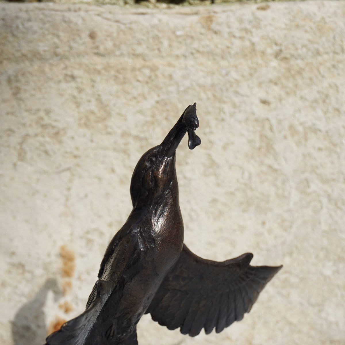 Kingfisher With Catch