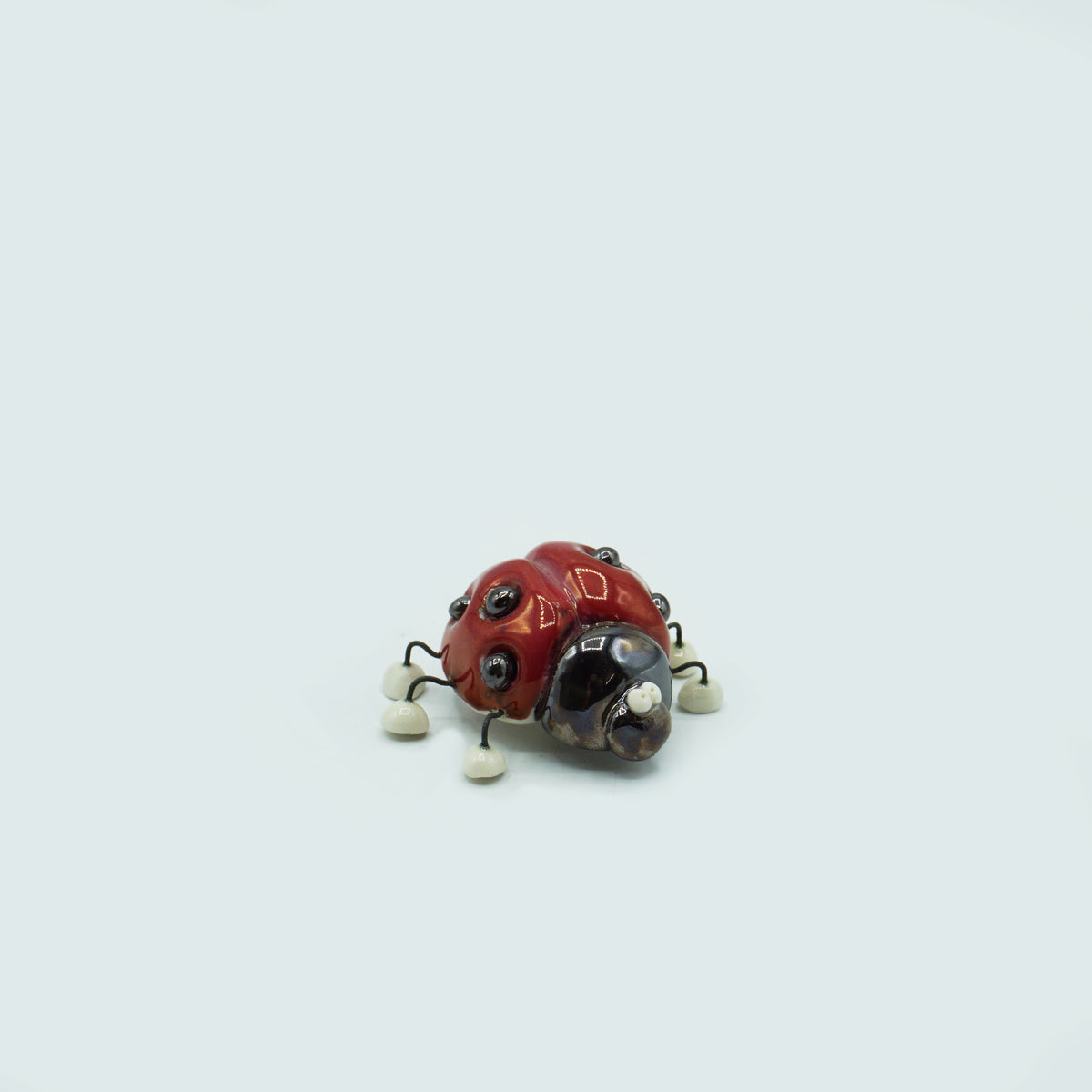 Ladybird