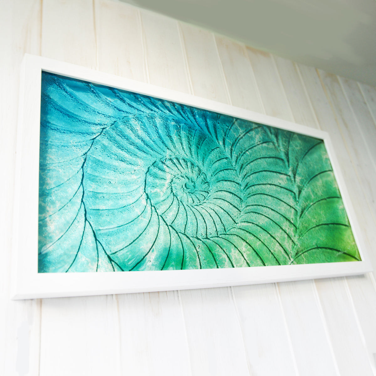 Ammonite Frame - Large Landscape