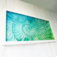 Ammonite Frame - Large Landscape