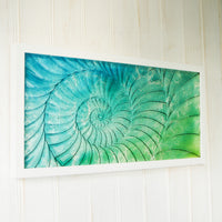 Ammonite Frame - Large Landscape