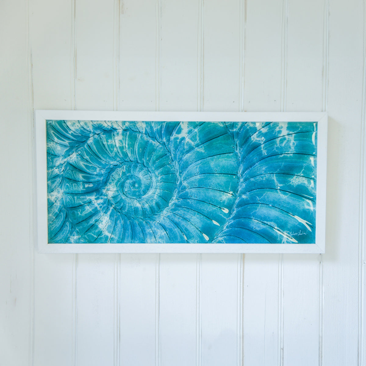 Ammonite Frame - Large Landscape