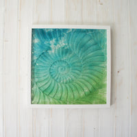 Ammonite Frame - Large Square