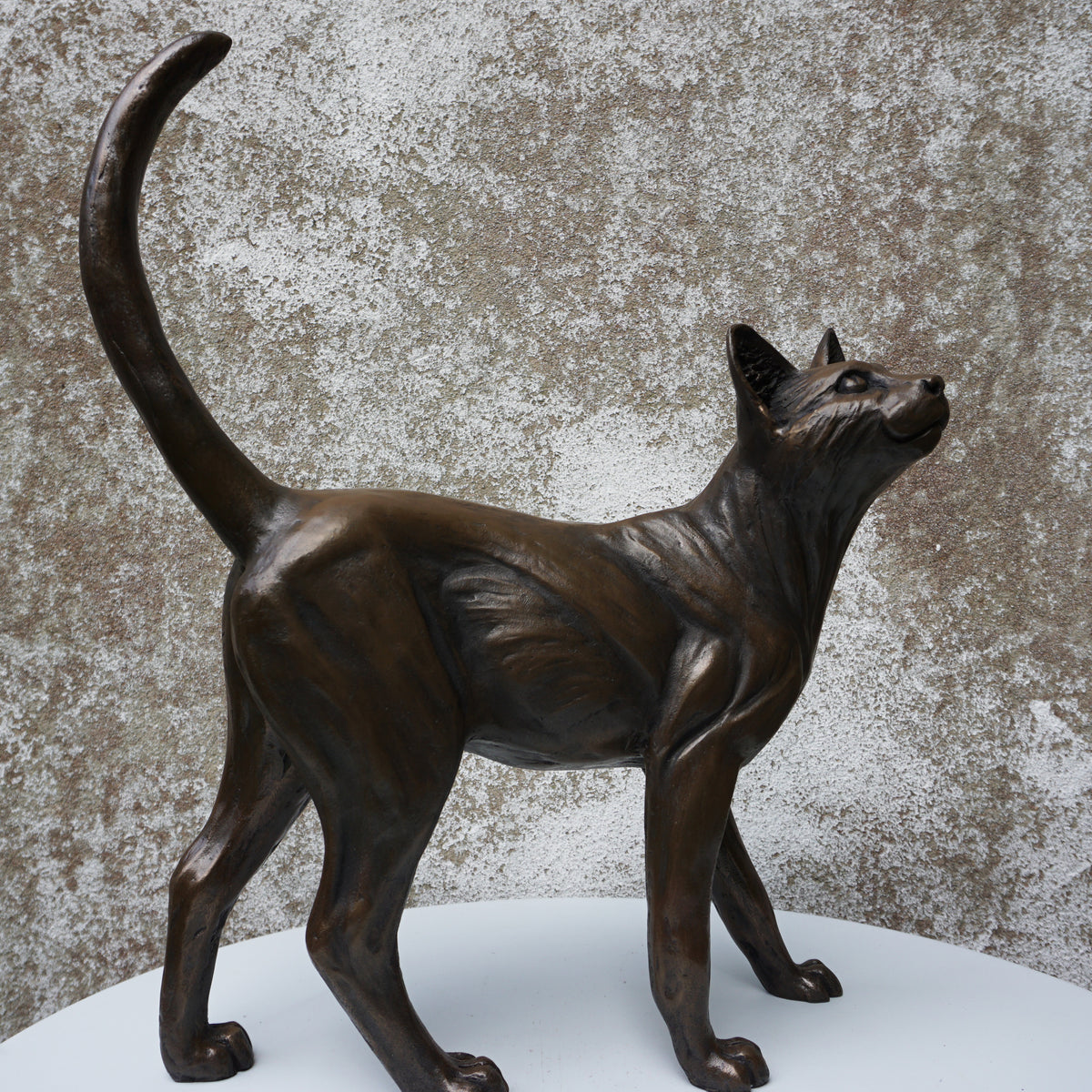 Standing Cat - Large