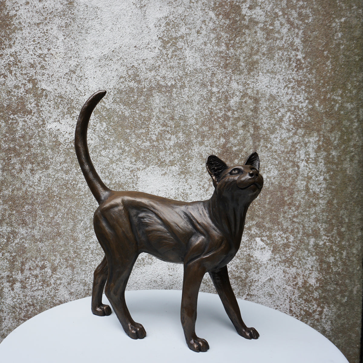 Standing Cat - Large