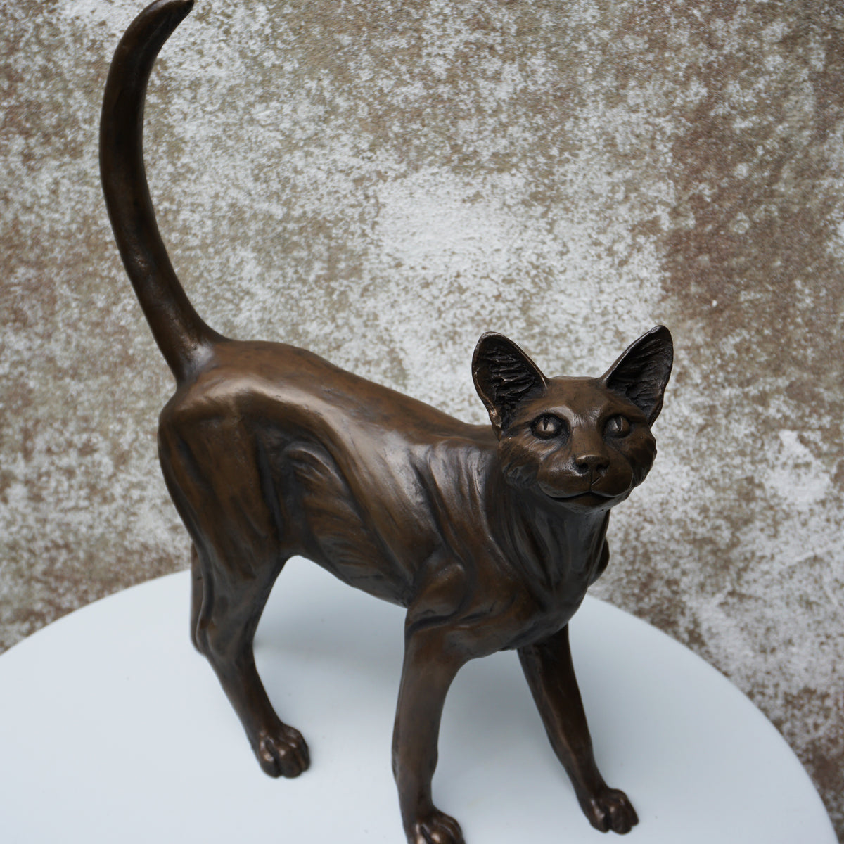 Standing Cat - Large