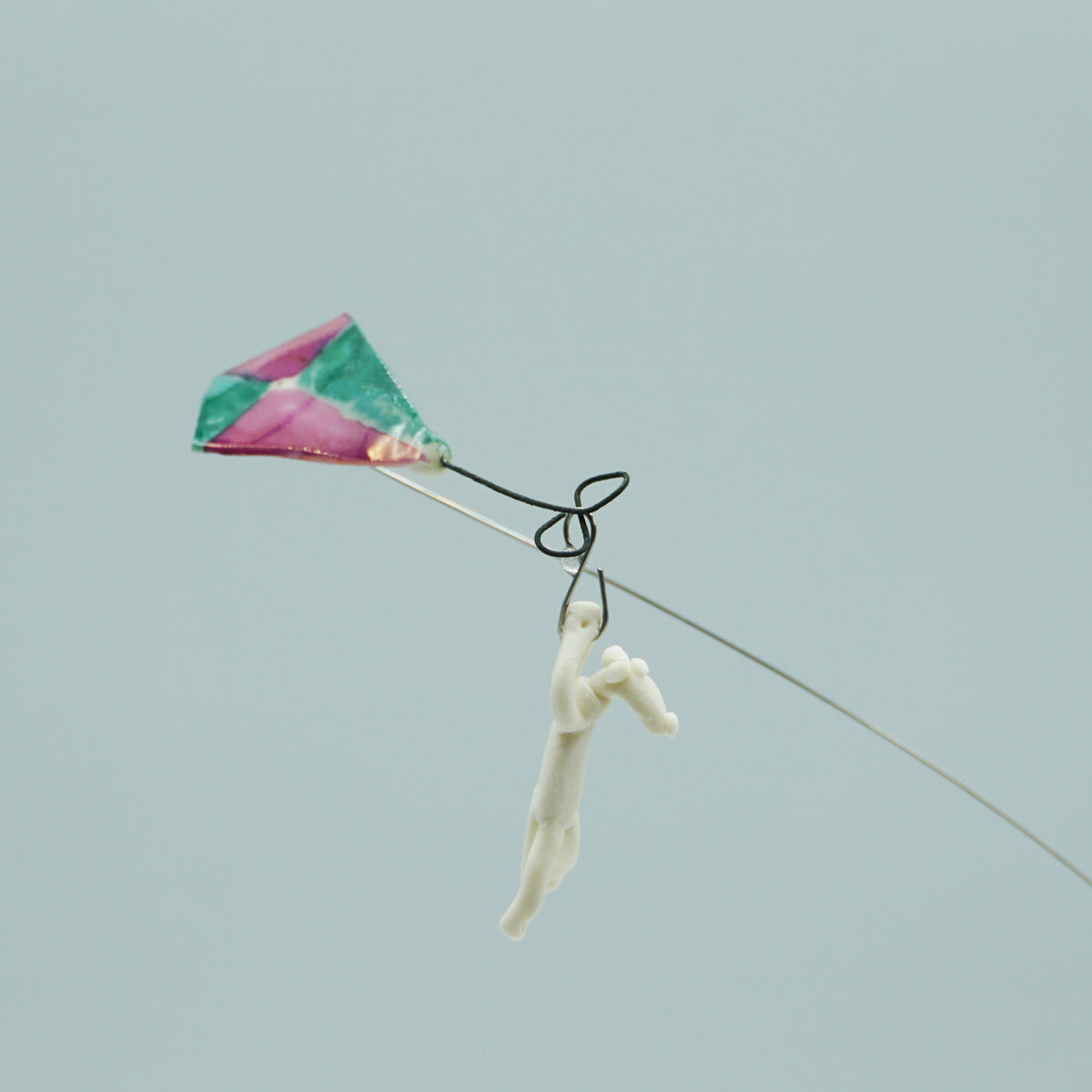 Flying Kite with Cat