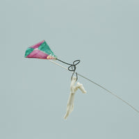 Flying Kite with Cat